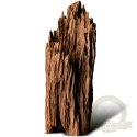 Philippines Classic Driftwood - drzewo mangrowca z wody L 30cm - 40cm