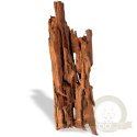 Philippines Classic Driftwood - drzewo mangrowca z wody L 30cm - 40cm