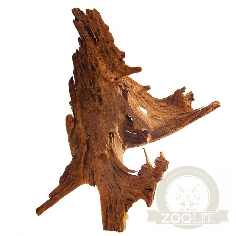 Philippines Classic Driftwood - drzewo mangrowca z wody L 30cm - 40cm Philippines Classic Driftwood - drzewo mangrowca z wody L 30cm - 40cm