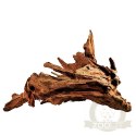 Philippines Classic Driftwood - drzewo mangrowca z wody L 30cm - 40cm