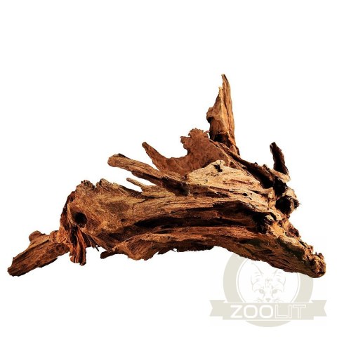 Philippines Classic Driftwood - drzewo mangrowca z wody L 30cm - 40cm Philippines Classic Driftwood - drzewo mangrowca z wody L 30cm - 40cm