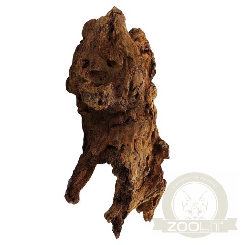 Philippines Classic Driftwood - drzewo mangrowca z wody L 30cm - 40cm Philippines Classic Driftwood - drzewo mangrowca z wody L 30cm - 40cm