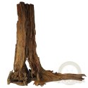 Philippines Classic Driftwood - drzewo mangrowca z wody XXL 70cm - 110cm