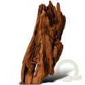 Philippines Classic Driftwood - drzewo mangrowca z wody XS ok.16cm