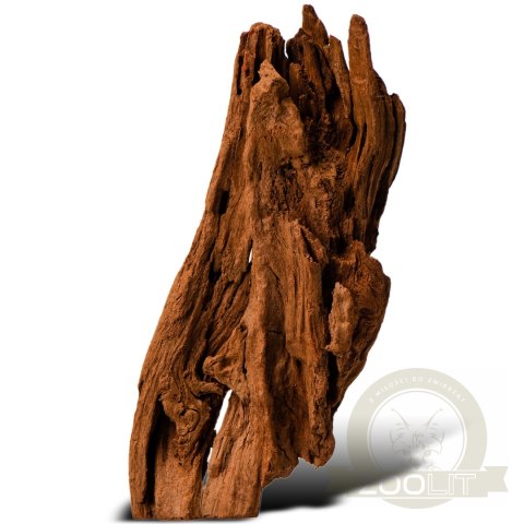 Philippines Classic Driftwood - drzewo mangrowca z wody XS ok.16cm Philippines Classic Driftwood - drzewo mangrowca z wody XS ok.16cm