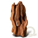 Philippines Classic Driftwood - drzewo mangrowca z wody XS ok.16cm