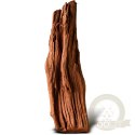 Philippines Classic Driftwood - drzewo mangrowca z wody XS ok.16cm