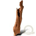 Philippines Classic Driftwood - drzewo mangrowca z wody XS ok.16cm