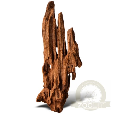 Philippines Classic Driftwood - drzewo mangrowca z wody XS ok.16cm Philippines Classic Driftwood - drzewo mangrowca z wody XS ok.16cm