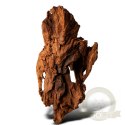 Philippines Classic Driftwood - drzewo mangrowca z wody XS ok.16cm