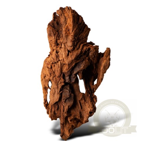 Philippines Classic Driftwood - drzewo mangrowca z wody XS ok.16cm Philippines Classic Driftwood - drzewo mangrowca z wody XS ok.16cm