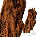 Philippines Classic Driftwood - drzewo mangrowca z wody XS ok.16cm