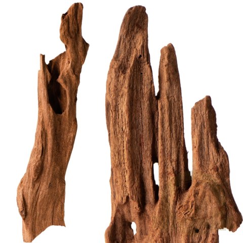 Philippines Classic Driftwood - drzewo mangrowca z wody XS ok.16cm Philippines Classic Driftwood - drzewo mangrowca z wody XS ok.16cm
