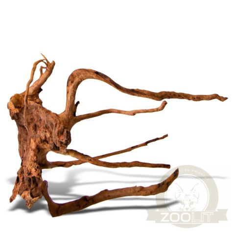 Shizen Essence J-roots M - średnie korzenie japońskie Mizube i Ryuboku Shizen Essence J-roots M - średnie korzenie japońskie Mizube i Ryuboku
