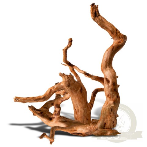 Shizen Essence J-roots M - średnie korzenie japońskie Mizube i Ryuboku Shizen Essence J-roots M - średnie korzenie japońskie Mizube i Ryuboku