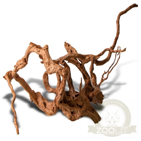 Shizen Essence J-roots M - średnie korzenie japońskie Mizube i Ryuboku Shizen Essence J-roots M - średnie korzenie japońskie Mizube i Ryuboku