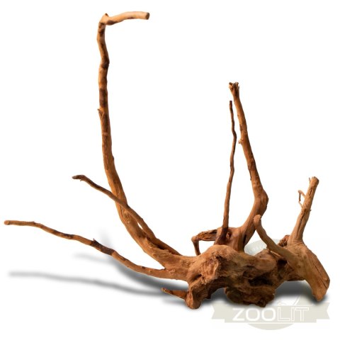Shizen Essence J-roots S - małe korzenie japońskie Mizube i Ryuboku Shizen Essence J-roots S - małe korzenie japońskie Mizube i Ryuboku
