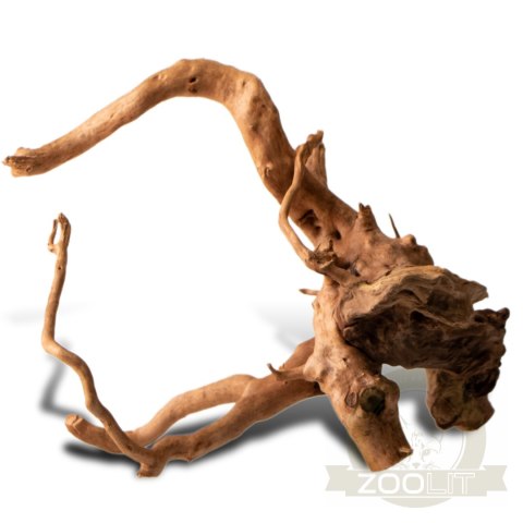 Shizen Essence J-roots S - małe korzenie japońskie Mizube i Ryuboku Shizen Essence J-roots S - małe korzenie japońskie Mizube i Ryuboku