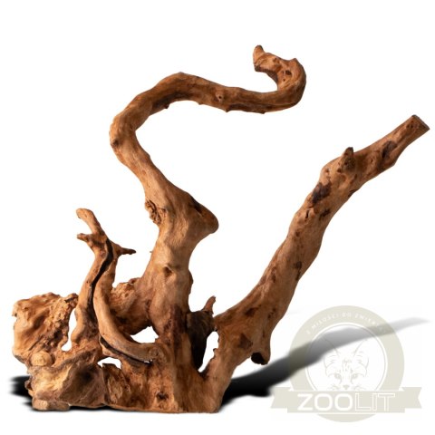 Shizen Essence J-roots XS - mini korzenie japońskie Mizube i Ryuboku Shizen Essence J-roots XS - mini korzenie japońskie Mizube i Ryuboku