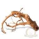 Shizen Essence J-roots XS - mini korzenie japońskie Mizube i Ryuboku