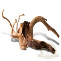 Shizen Essence J-roots XS - mini korzenie japońskie Mizube i Ryuboku