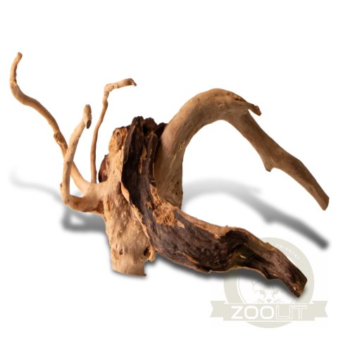 Shizen Essence J-roots XS - mini korzenie japońskie Mizube i Ryuboku Shizen Essence J-roots XS - mini korzenie japońskie Mizube i Ryuboku