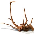 Shizen Essence J-roots XS - mini korzenie japońskie Mizube i Ryuboku