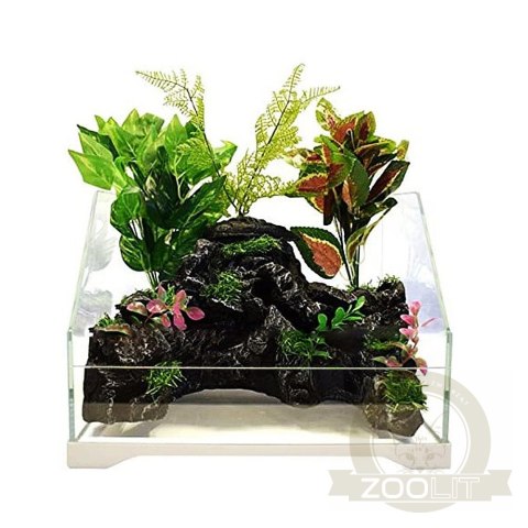 SunSun Aqua Paludarium 30 l - zestaw paludarium