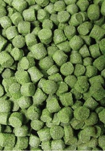 Ocean Nutrition Formula Two Pellets S 100g (drobny pokarm granulowany) Ocean Nutrition Formula Two Pellets S 100g (drobny pokarm granulowany)
