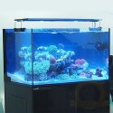 Zetlight Horizon QMAVEN II Q6-90 - lampa LED 170W Marine