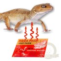 Aqua Heat Pack 40H 'Gold' x10 - zestaw 10 ogrzewaczy