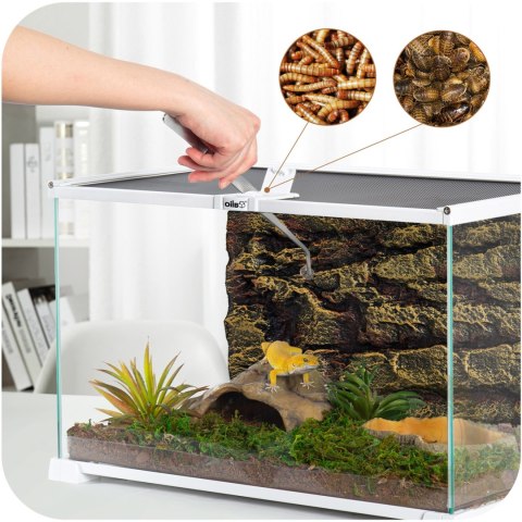 OiiBO Terrarium RAK08W - terrarium 50x30x25cm OiiBO Terrarium RAK08W - terrarium 50x30x25cm