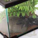 Repti-Zoo Simple Habitat - terrarium 31x31x20