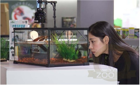 Repti-Zoo Simple Habitat - terrarium 31x31x20