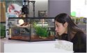 Repti-Zoo Simple Habitat - terrarium 31x31x30