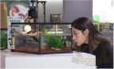 Repti-Zoo Terrarium AK 21x21x30
