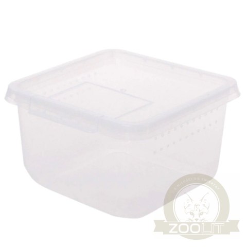 Terrario Insect Box Compact 12x12x7cm Terrario Insect Box Compact 12x12x7cm