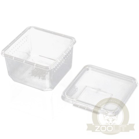 Terrario Insect Box Compact 12x12x7cm Terrario Insect Box Compact 12x12x7cm
