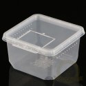 Terrario Insect Box Compact 12x12x7cm