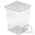 Terrario Insect Box High - plastikowe terrarium 9x9x11cm