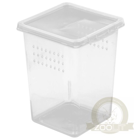 Terrario Insect Box High - plastikowe terrarium 9x9x11cm Terrario Insect Box High - plastikowe terrarium 9x9x11cm