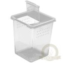 Terrario Insect Box High - plastikowe terrarium 9x9x11cm