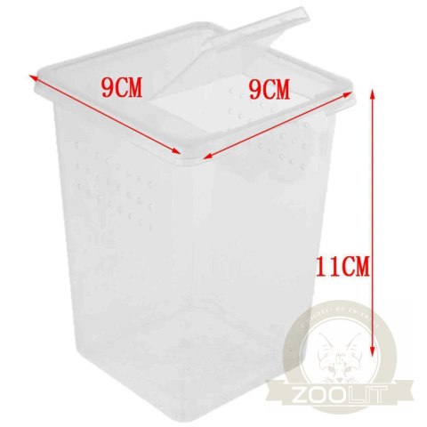 Terrario Insect Box High - plastikowe terrarium 9x9x11cm Terrario Insect Box High - plastikowe terrarium 9x9x11cm
