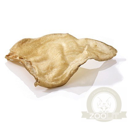 Maced Ucho wołowe 1szt folia Maced Ucho wołowe 1szt folia