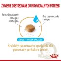 Royal Canin Yorkshire Terrier Adult 8+ karma sucha dla psów starszych rasy yorkshire terrier 3kg