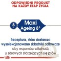Royal Canin Maxi Ageing 8+ karma sucha dla psów dojrzałych, po 8 roku życia, ras dużych 15kg