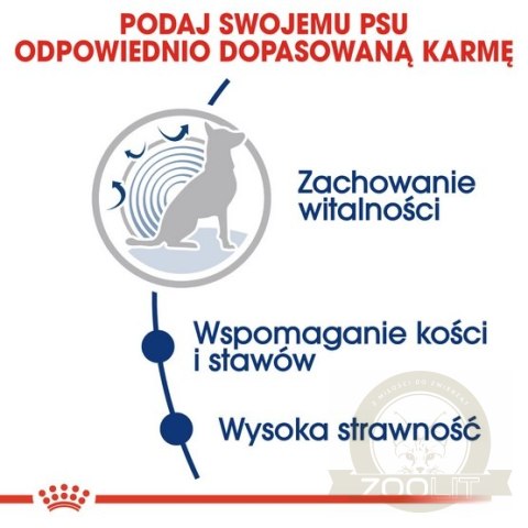 Royal Canin Maxi Ageing 8+ karma sucha dla psów dojrzałych, po 8 roku życia, ras dużych 15kg Royal Canin Maxi Ageing 8+ karma sucha dla psów dojrzałych, po 8 roku życia, ras dużych 15kg