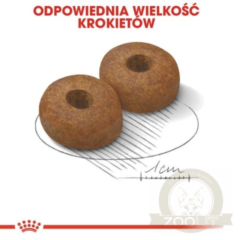 Royal Canin Maxi Ageing 8+ karma sucha dla psów dojrzałych, po 8 roku życia, ras dużych 15kg Royal Canin Maxi Ageing 8+ karma sucha dla psów dojrzałych, po 8 roku życia, ras dużych 15kg