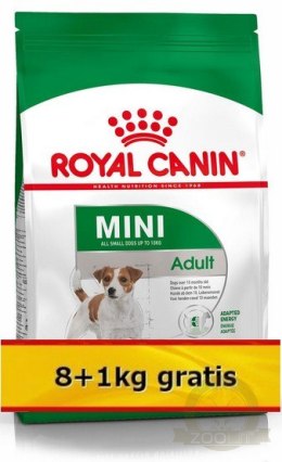 Royal Canin Mini Adult karma sucha dla psów dorosłych, ras małych 9kg (8+1kg)