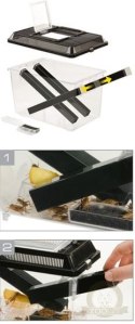 EXO TERRA Cricket Pen S Terrarium na karmówkę (18x14x11cm)